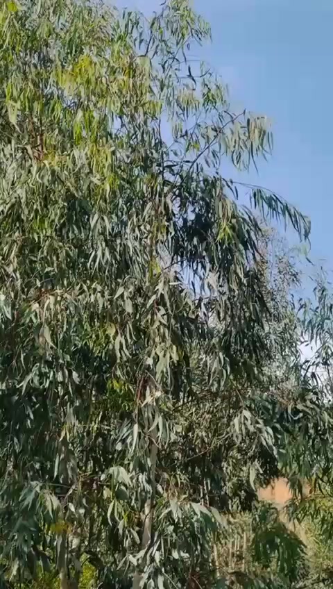 @𝐀𝐊_101🔰
