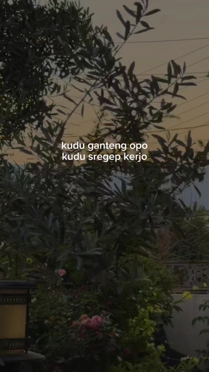 @๐ฃ๐ข๐๐๐จ๐๐จ๐ก๐
