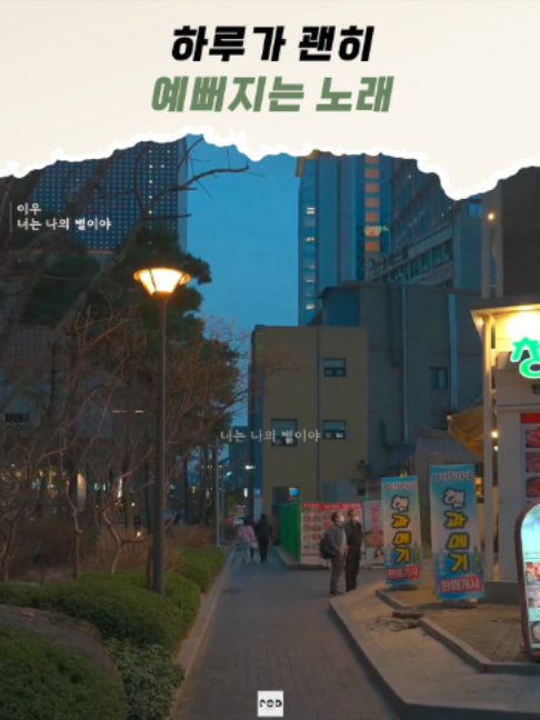 @일담플