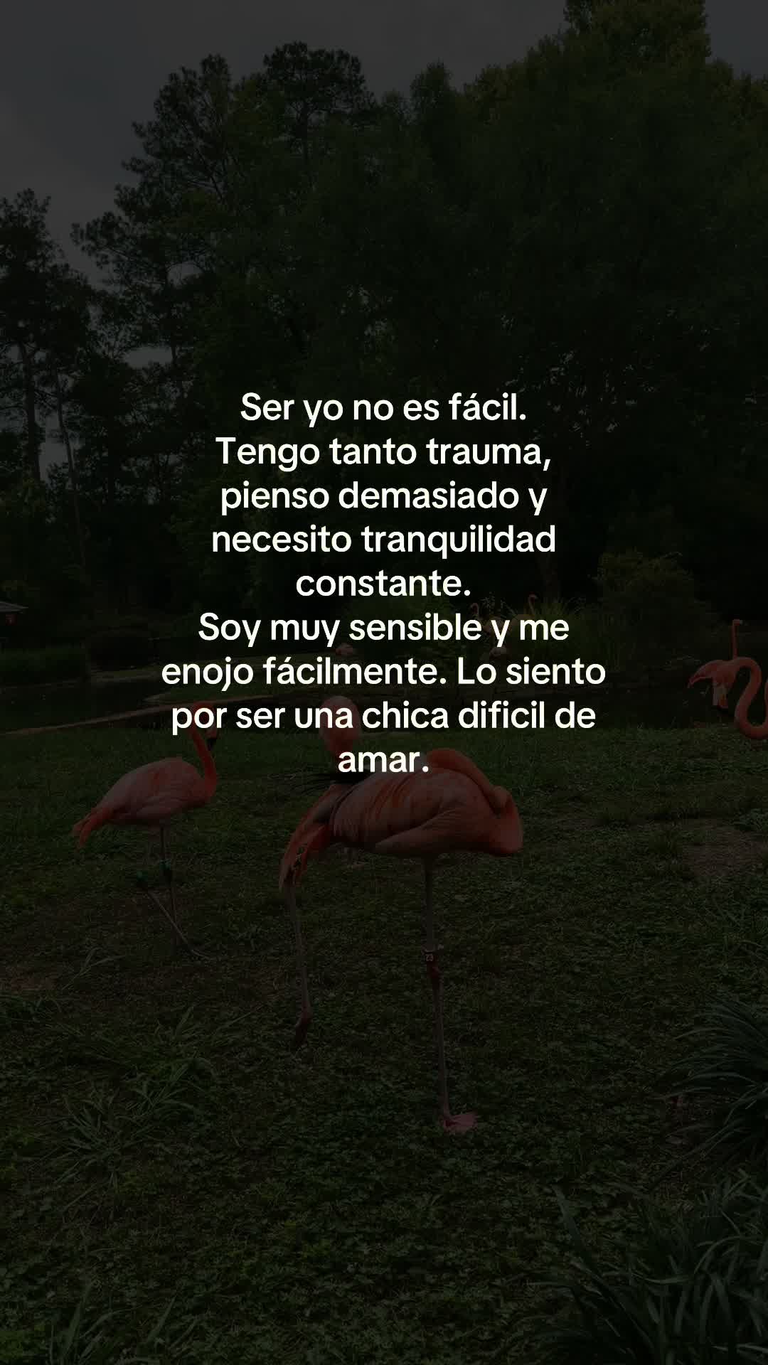 @Piscis 🪼