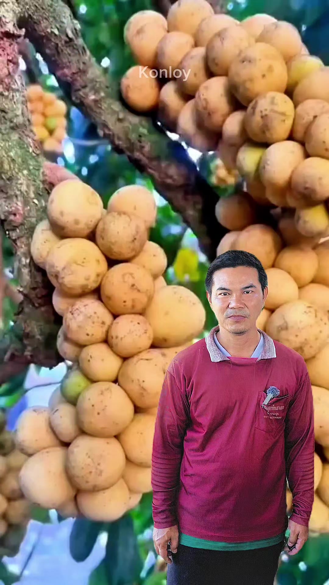 @Konloy
