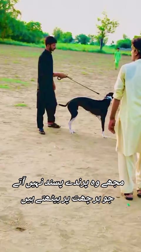 @Ahsan malik
