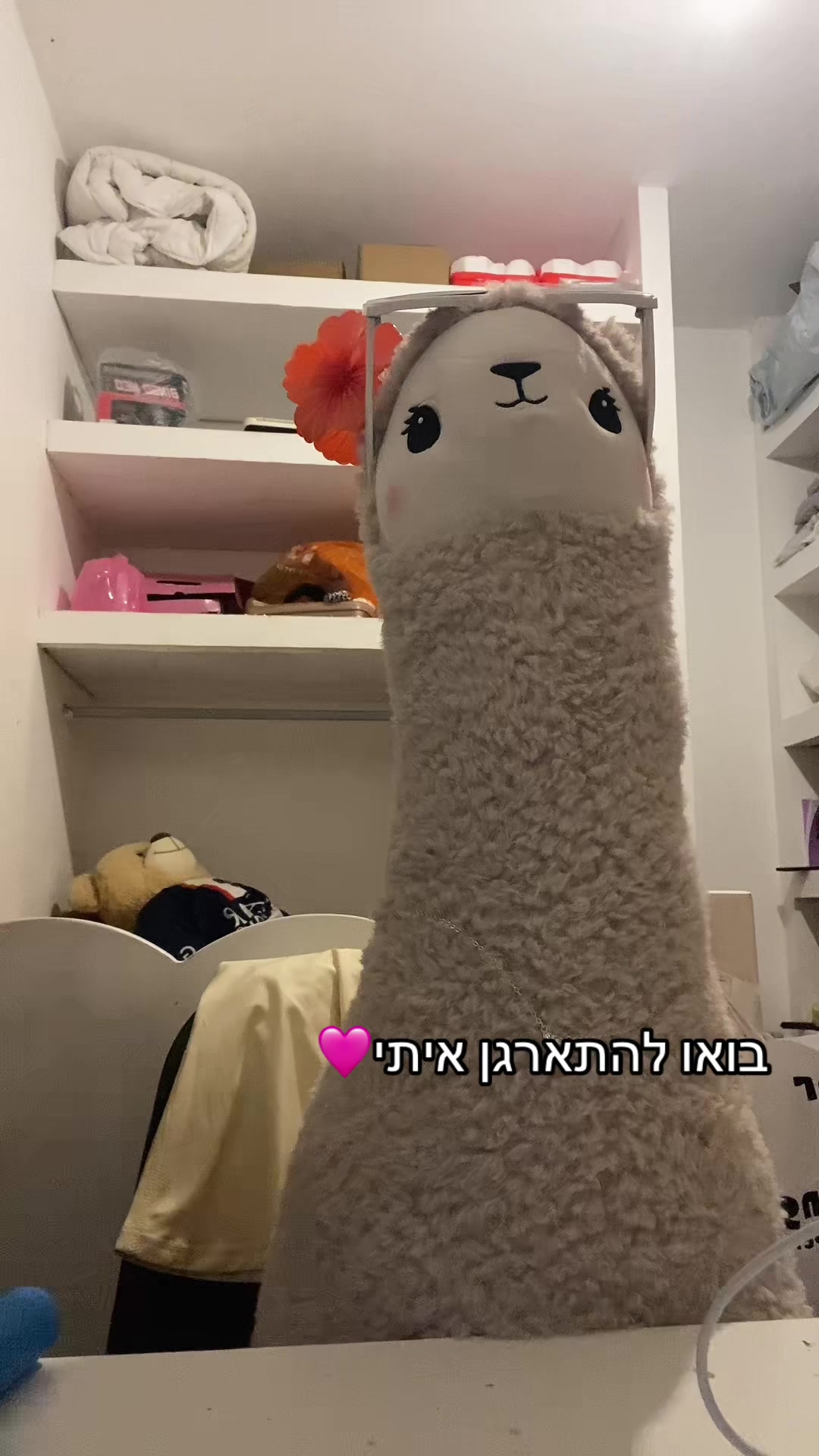 @שלומית הפיימוס 🦙🦙