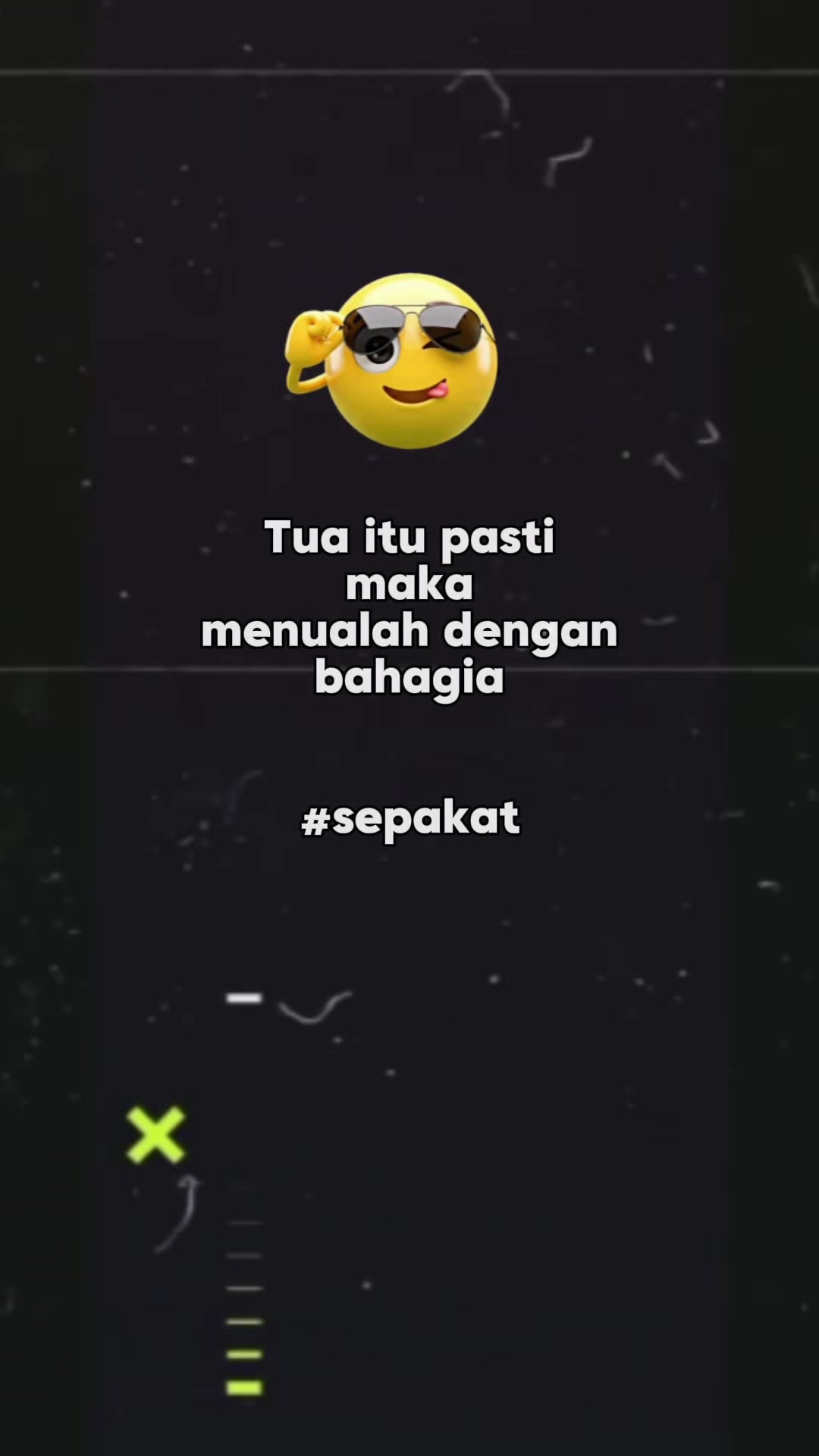 @lily