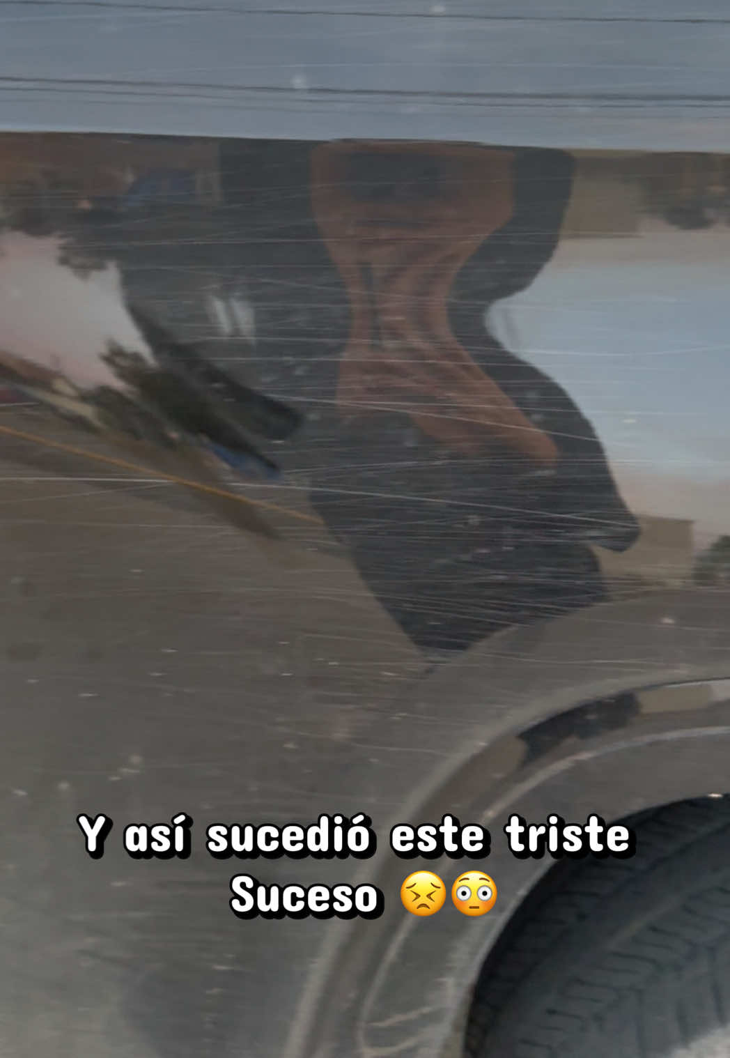 @Ale✨