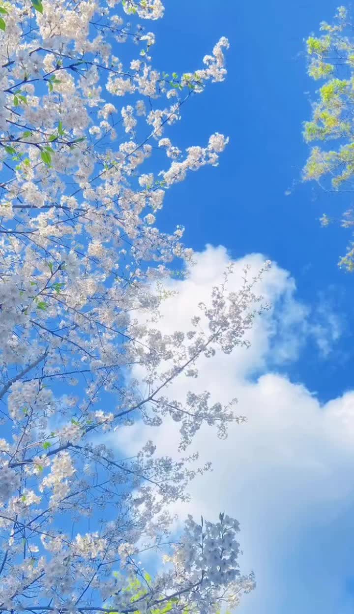 @tiy_891