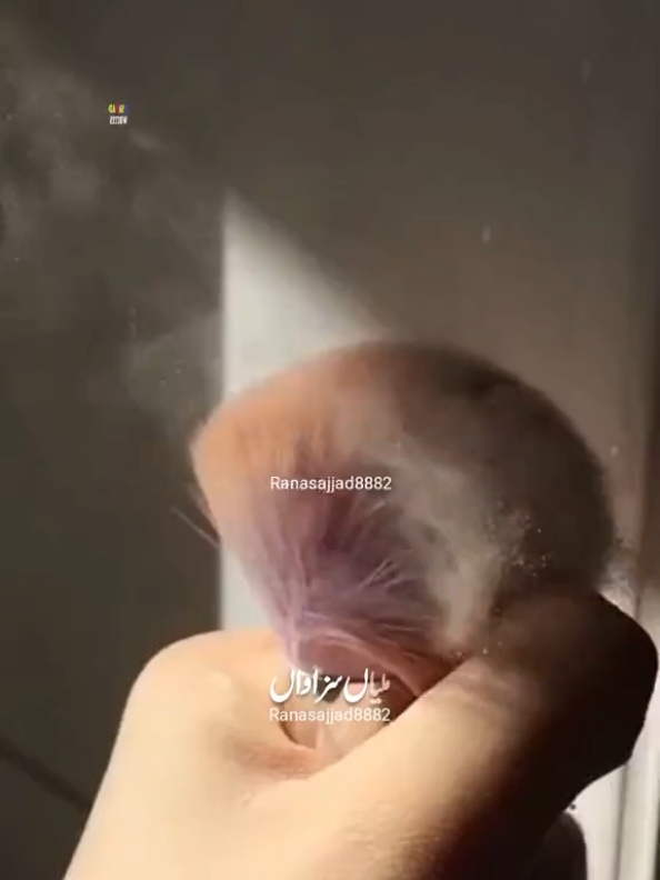 @✫@𝙨𝙖𝙟𝙟𝙖𝙙𝙬𝙧𝙞𝙩𝙚𝙨✫