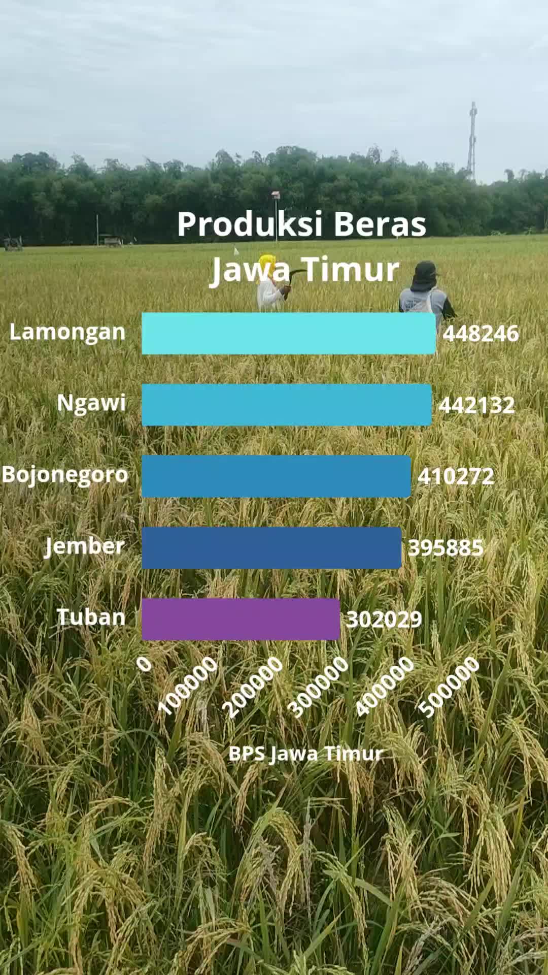 @ahmad mundir