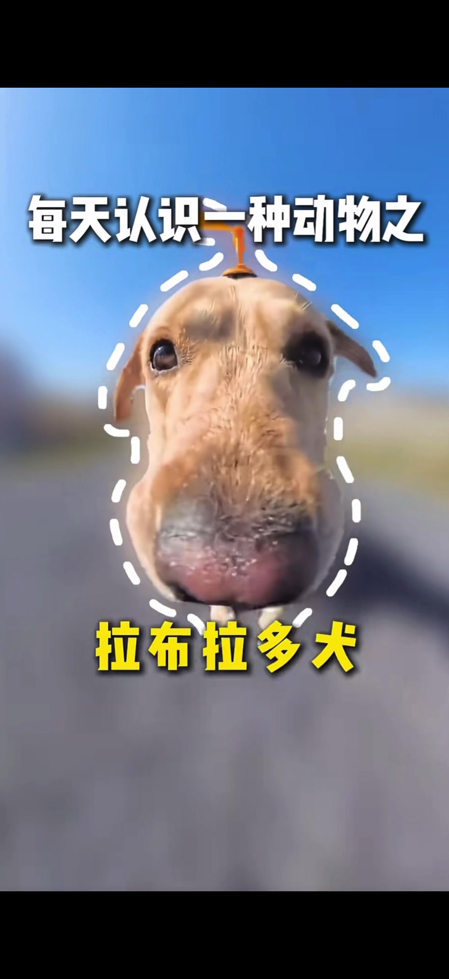 @casual_shuo