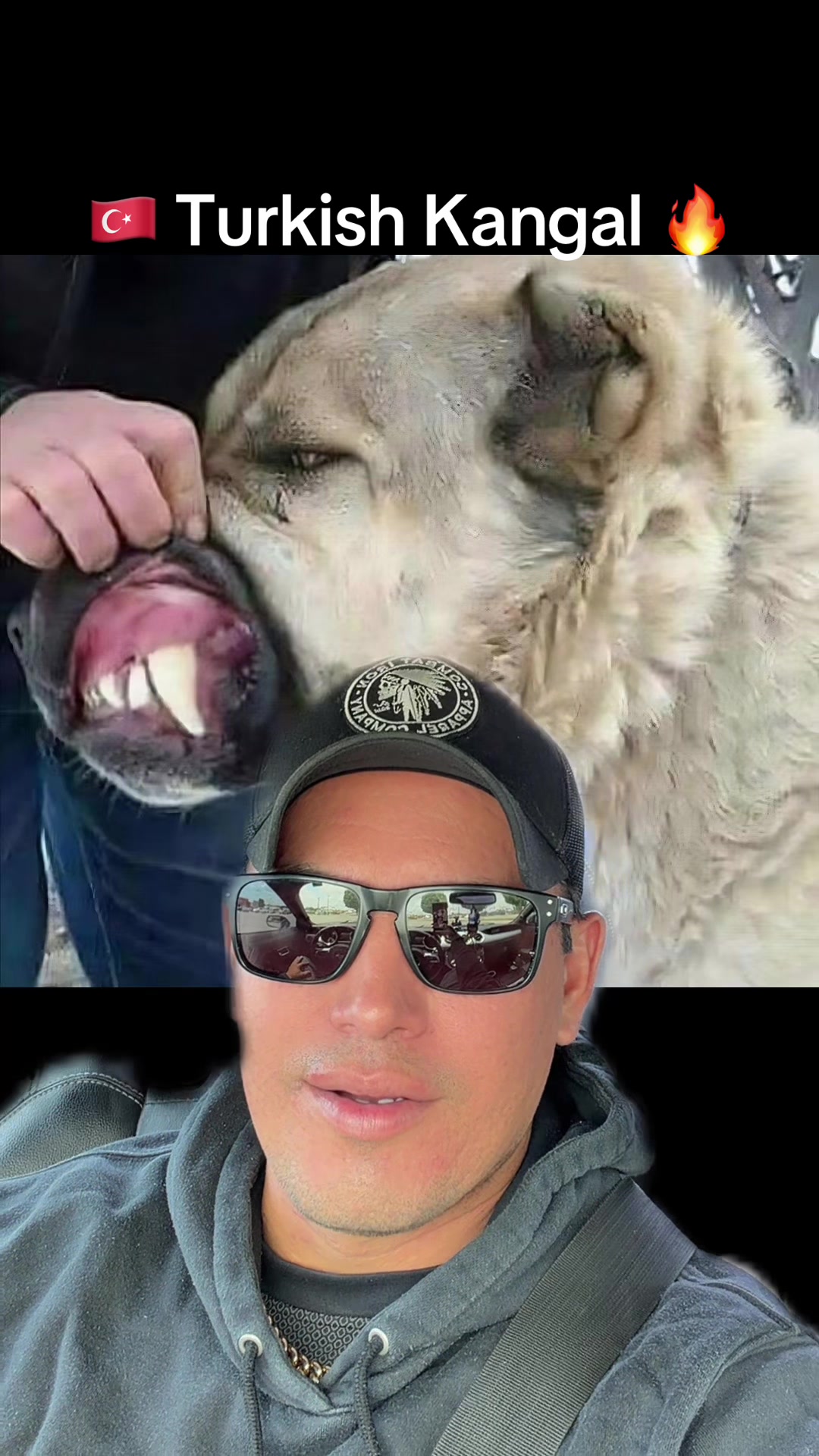 @🪶TheN8tiveDogfather🐾