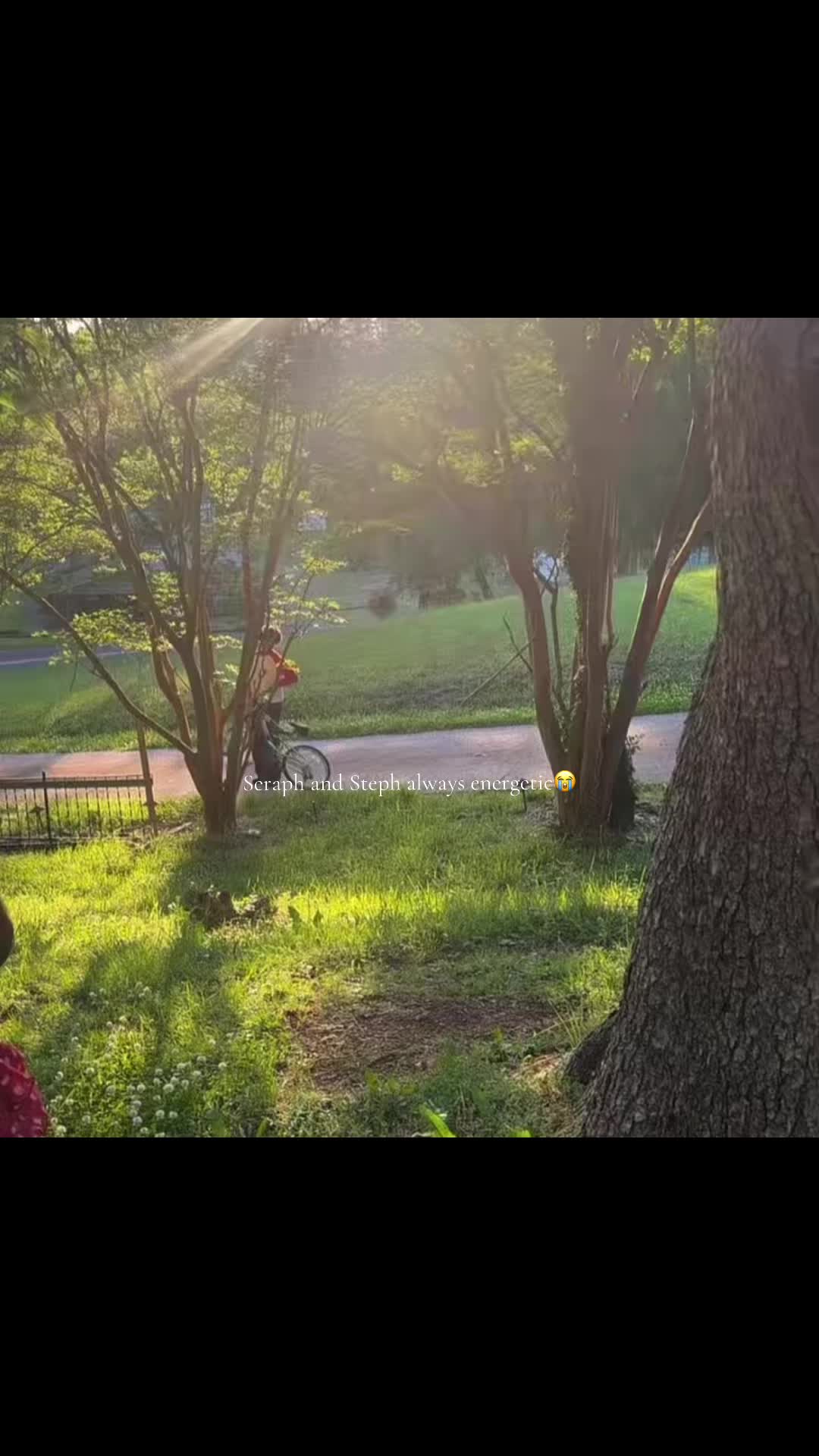 @𝚂𝚎𝚛𝚊𝚙𝚑𝚟𝚕𝚘𝚐𝚜☀️