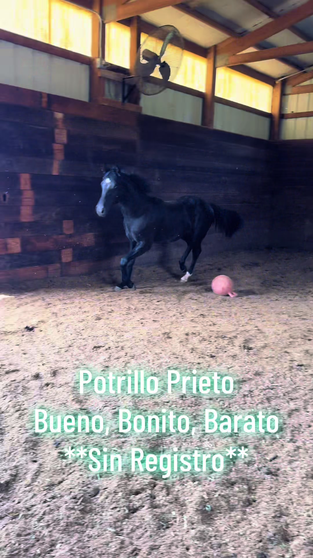 @R.L.P Quarter Horses