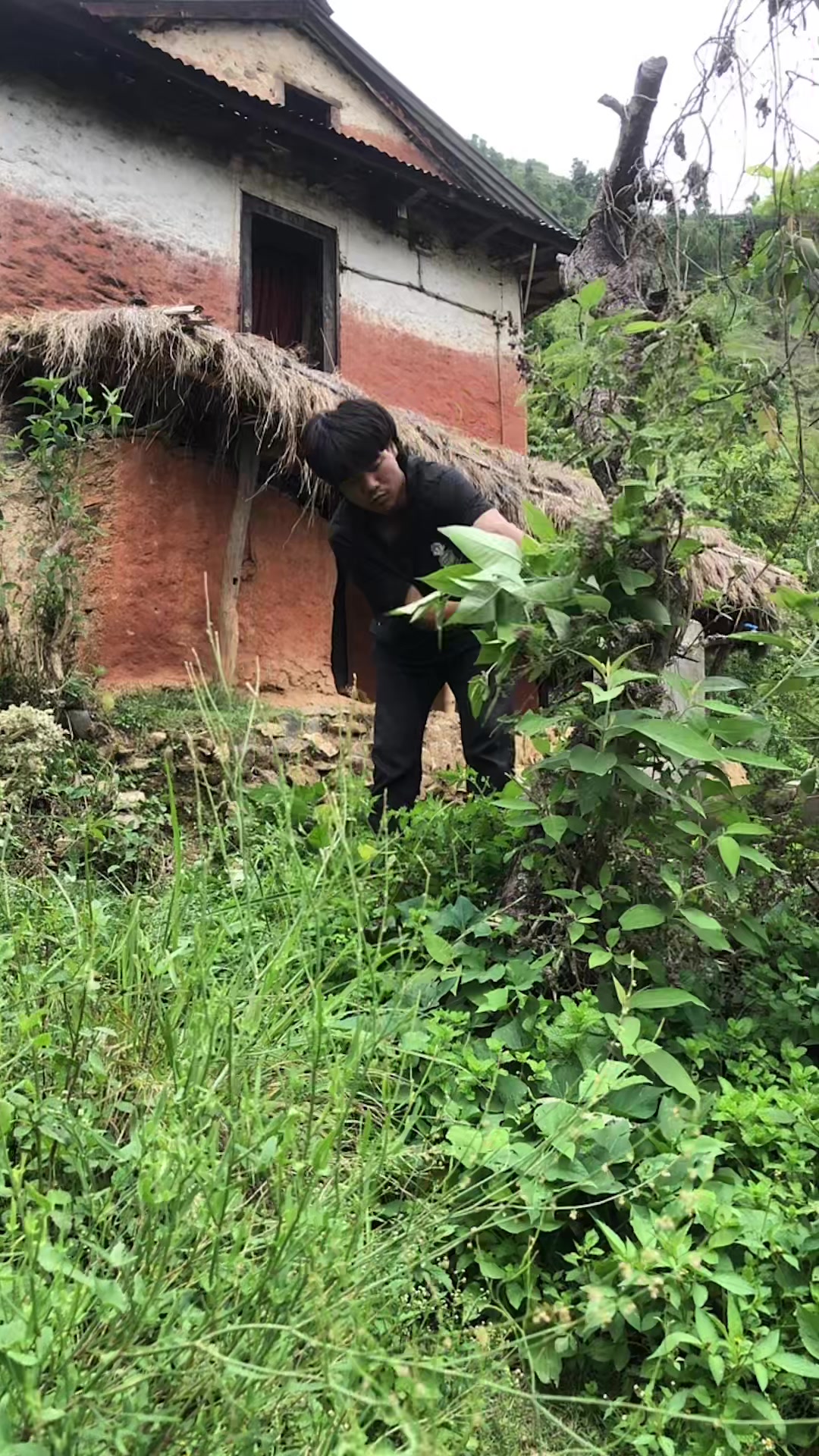 @लोकेश मगर🧿🌿