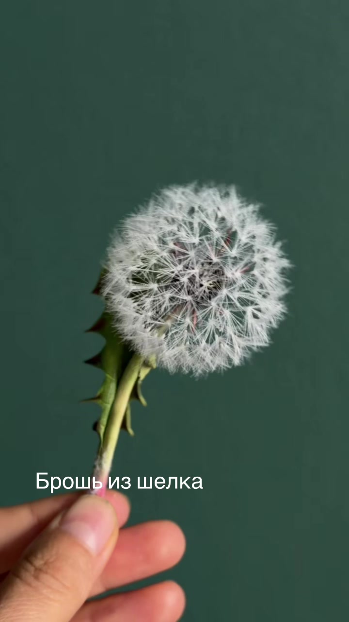 @tanya_forest_flowers