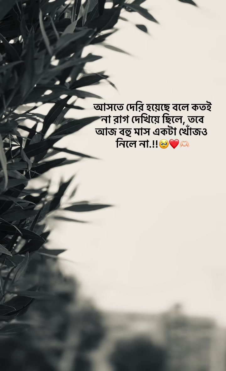 @đ¸đĻSUMON īŖŋ