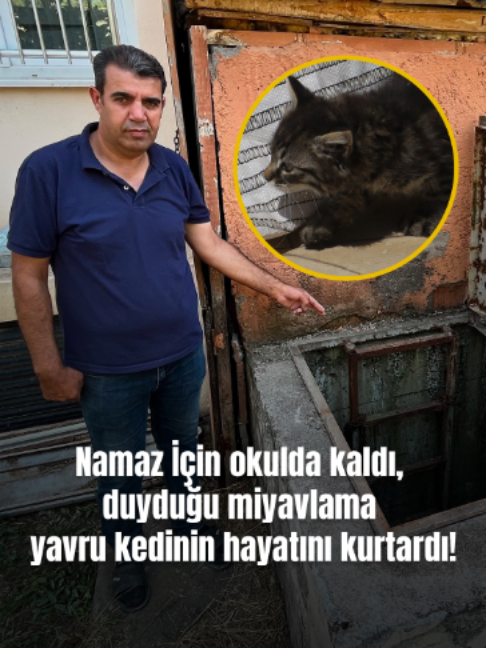 @Mynet
