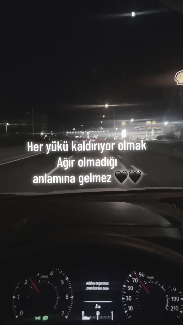 @reis_83_16