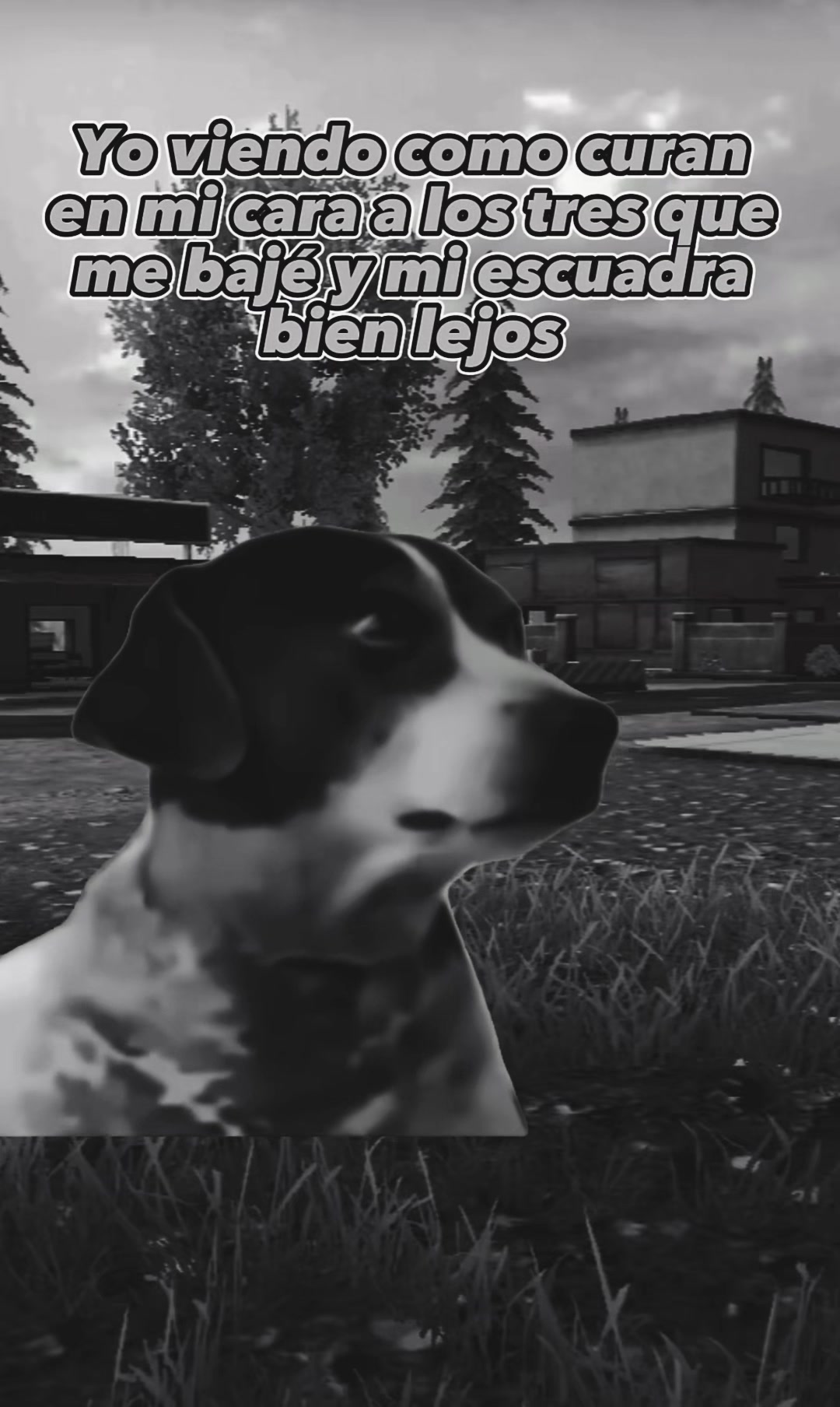 @乙OɌO◢◤