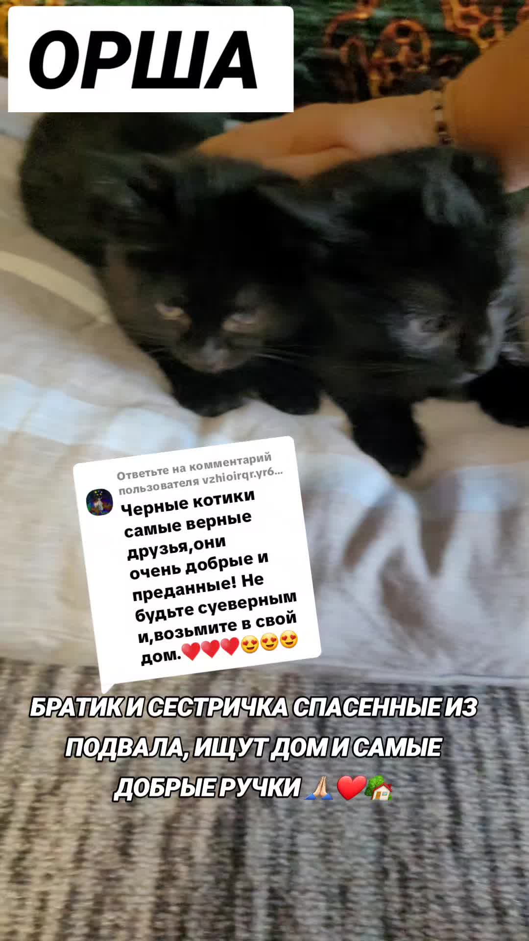 @marinka20_09
