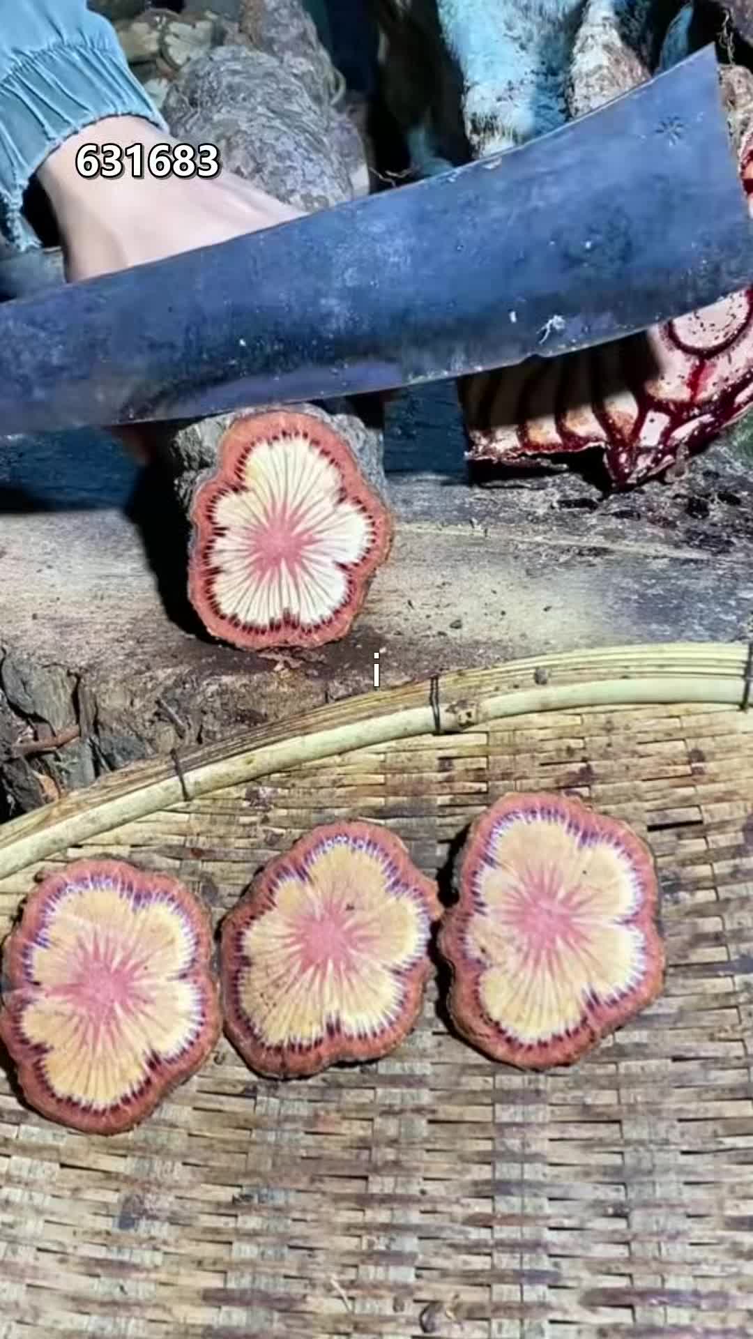 @pjtqbc