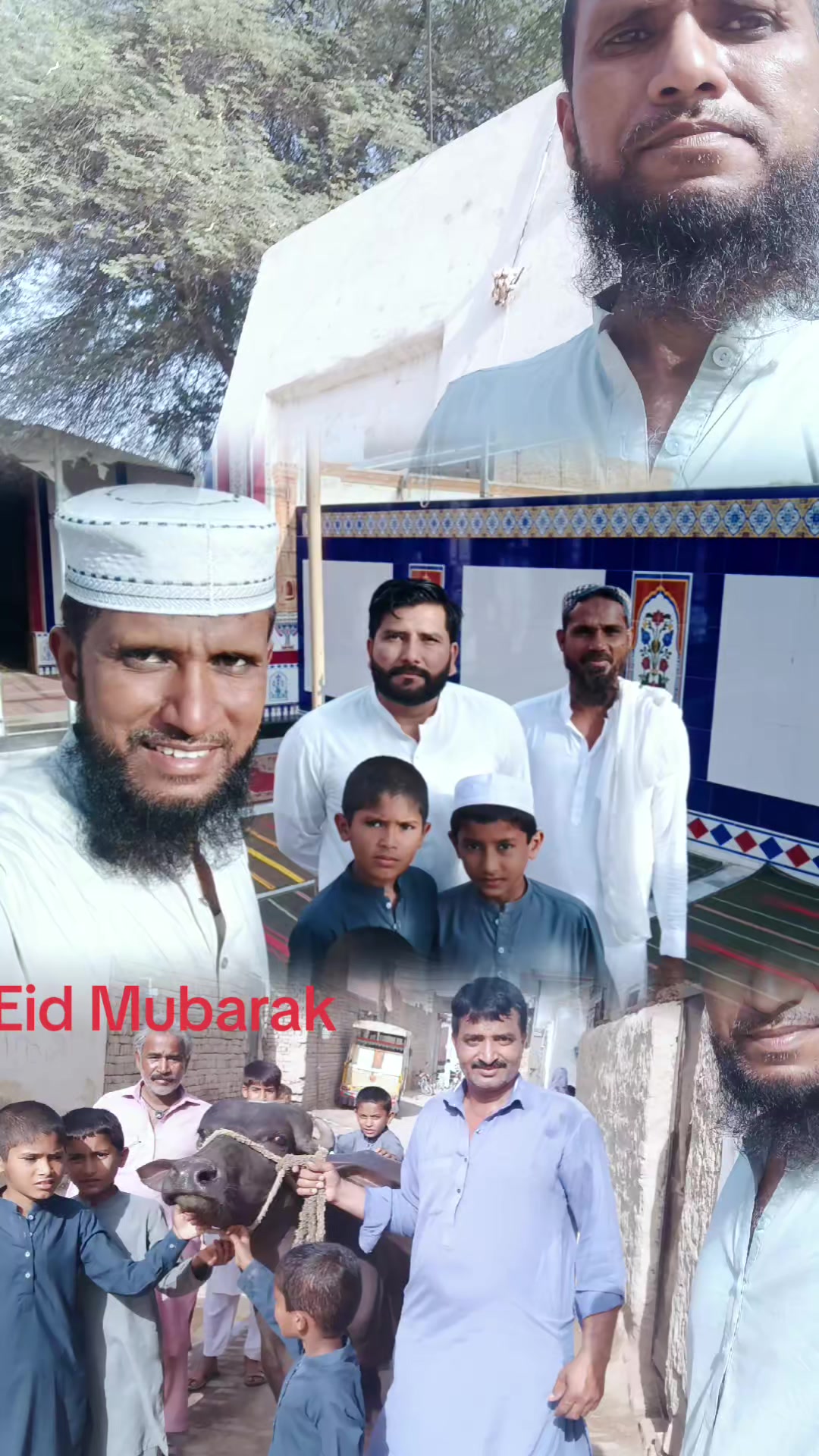 @islammayyo