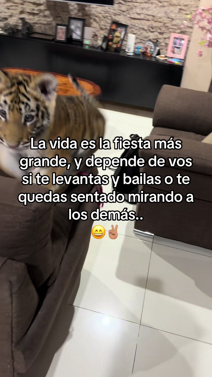 @Marecxx👋🏻