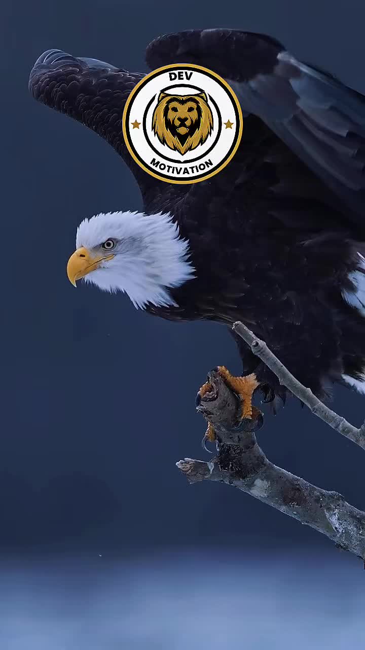 @Devmotivation