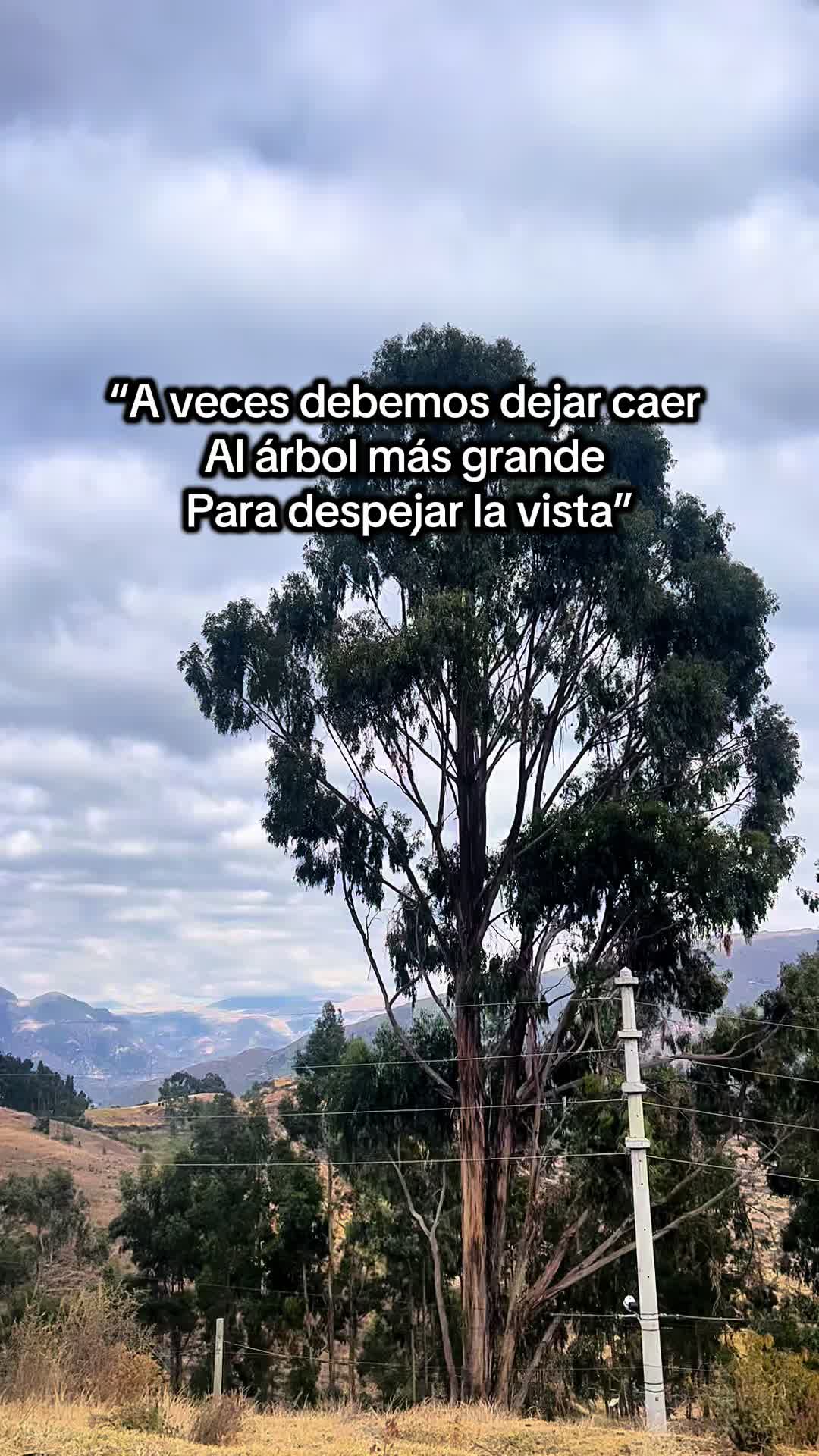 @~⚽️AnTaWar🌅~