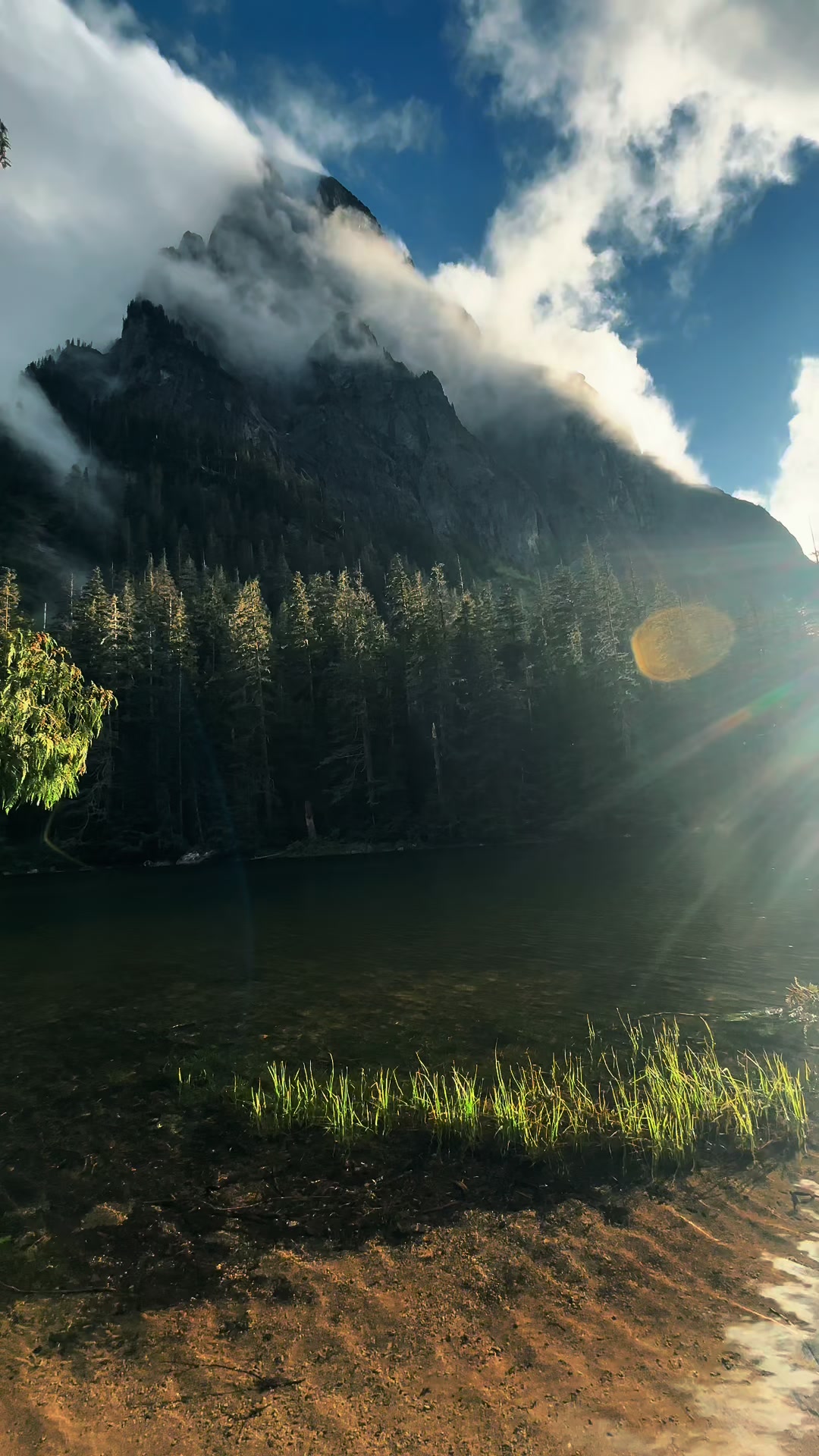 @🌲 James | WA 🏔️