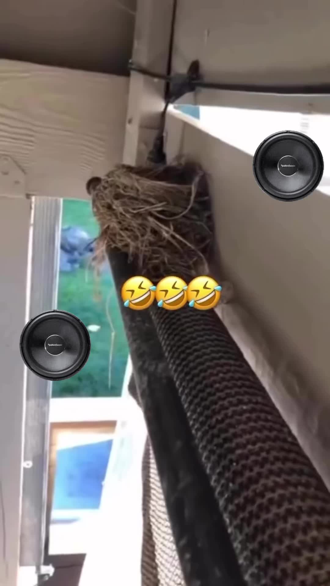@MakeItBang305
