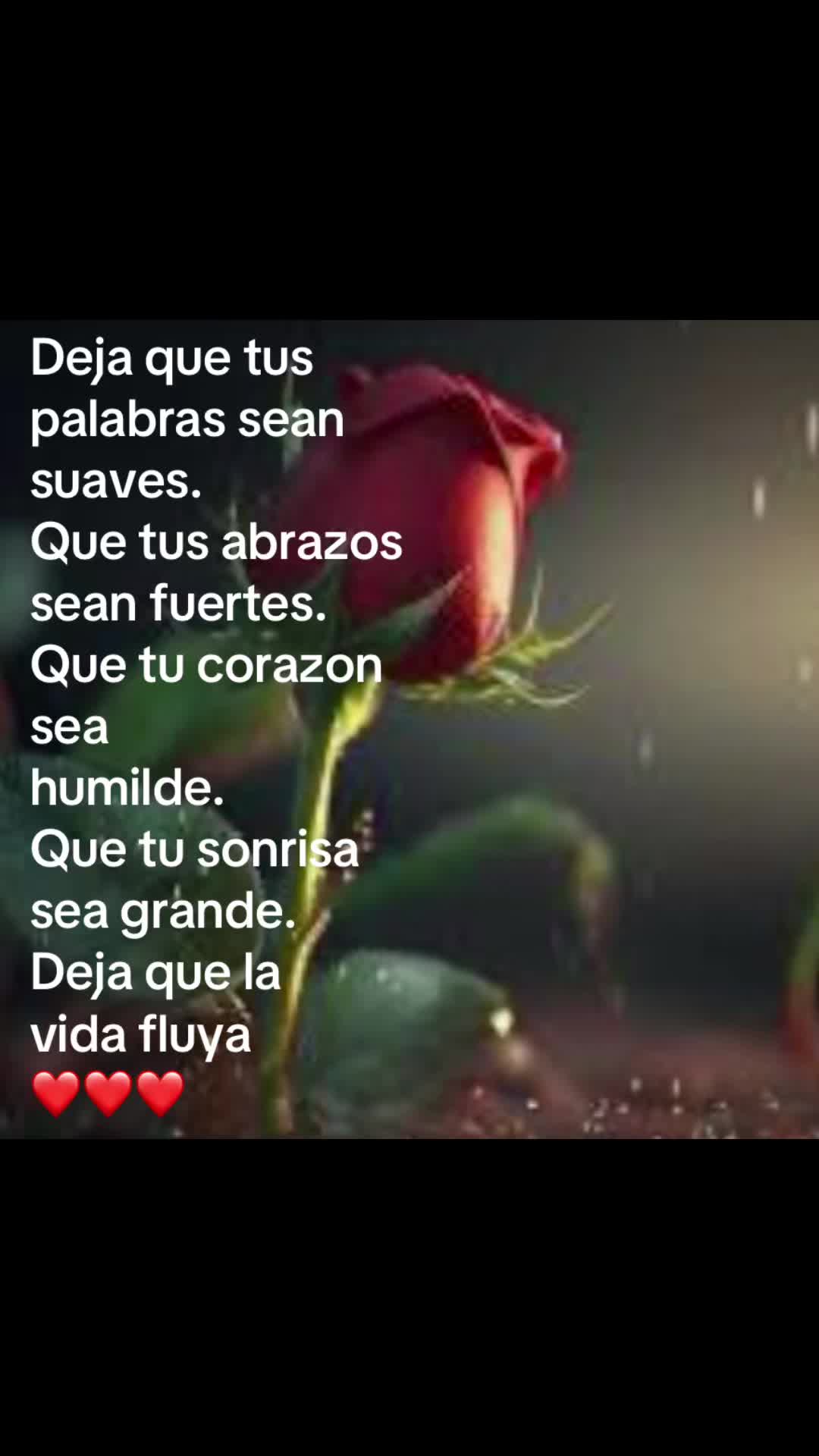 @JJZ