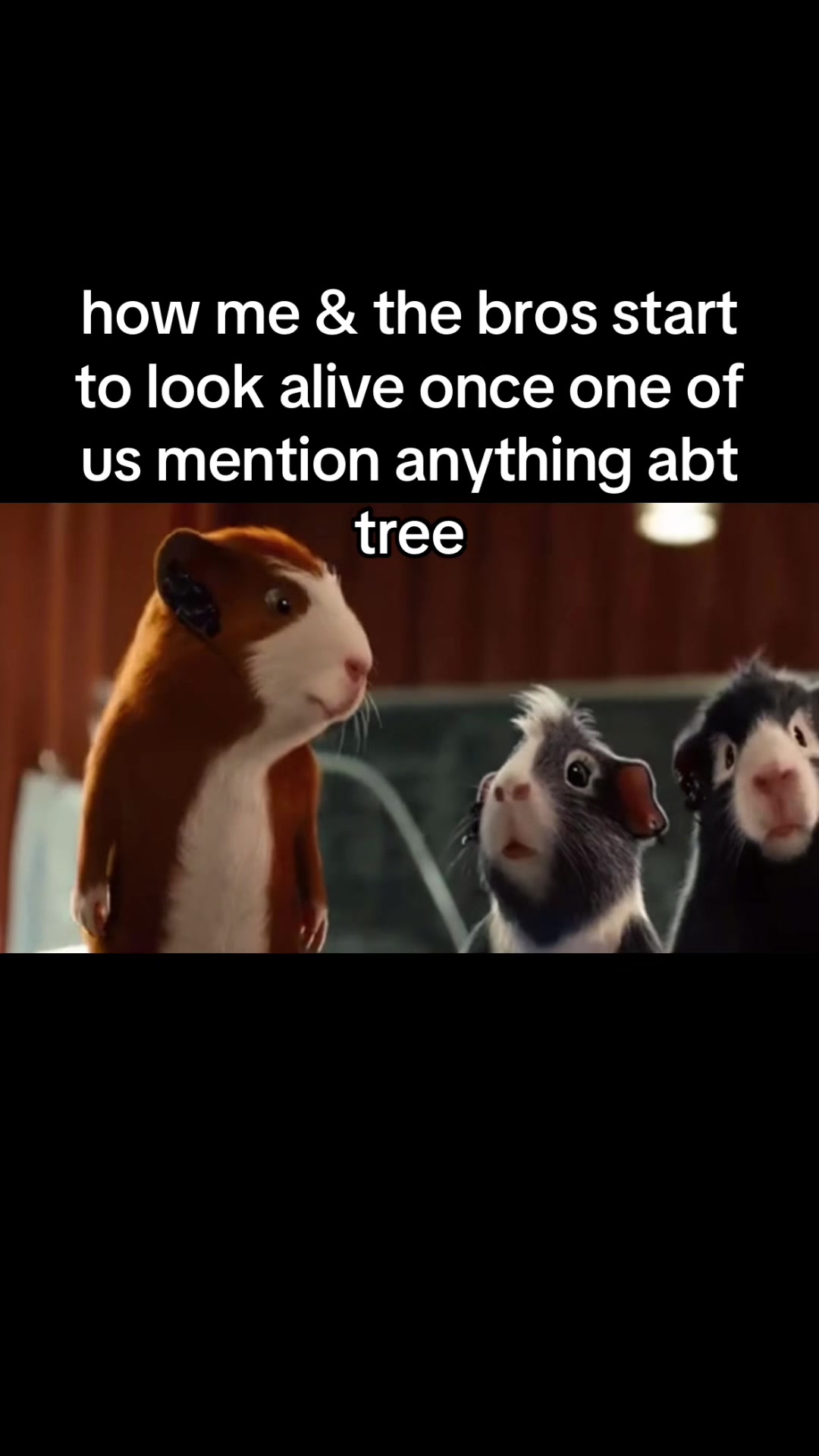 @alex