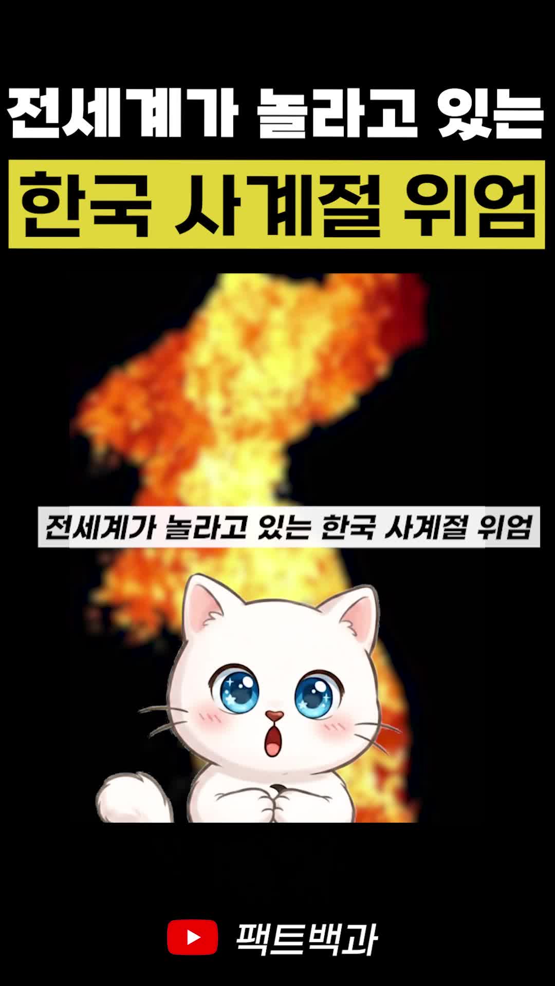 @인물백과
