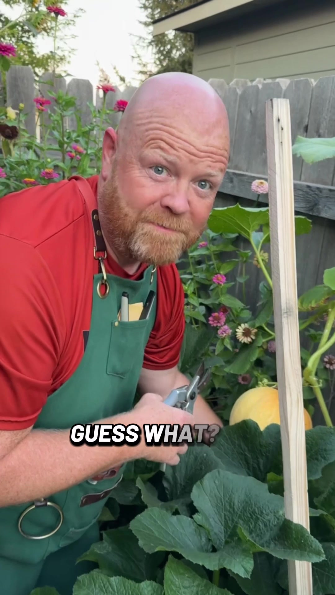 @backyardBeeg