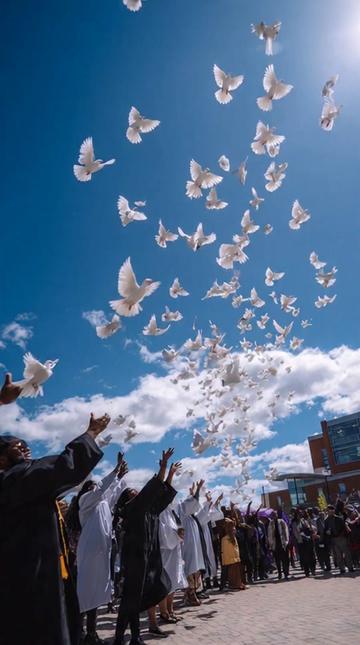 @White Dove Release Philippines