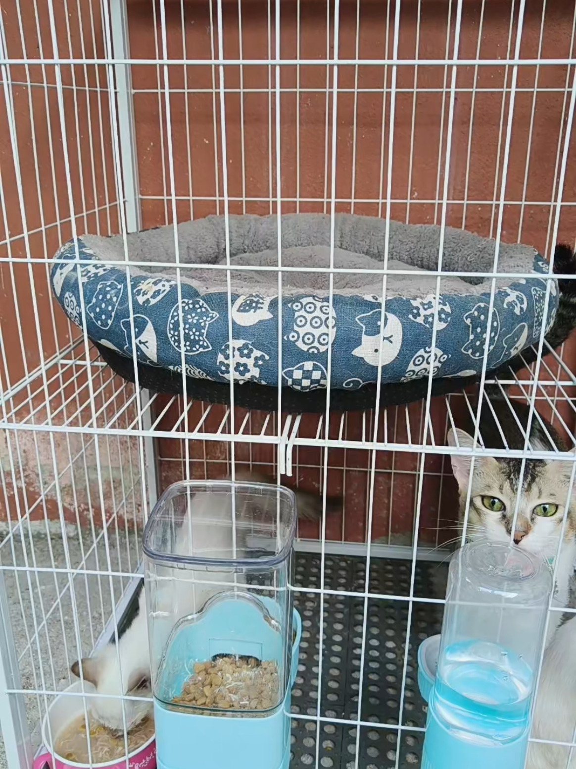 @โฆ๐โฆ pu†εrï ß โฆ๐โฆ