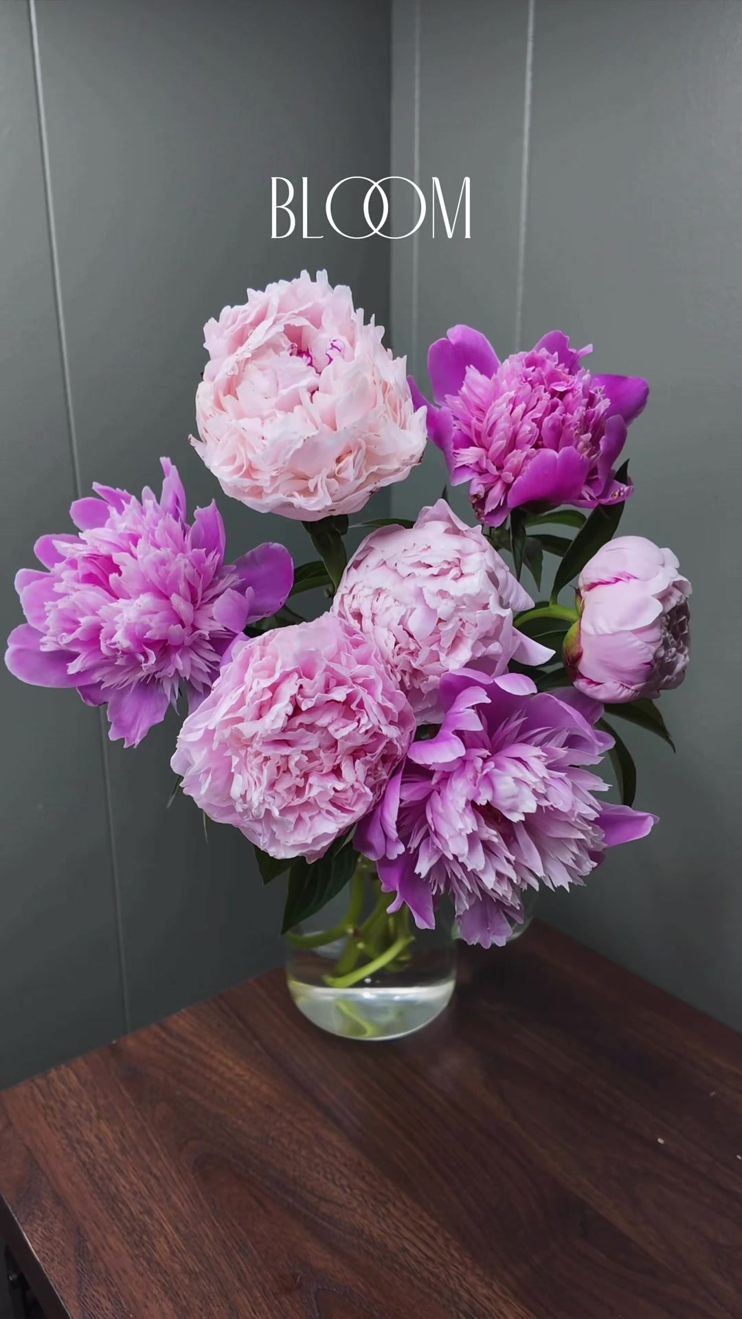 @Christopher | Flower Farmer