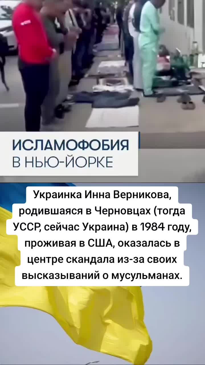 @Художник👺