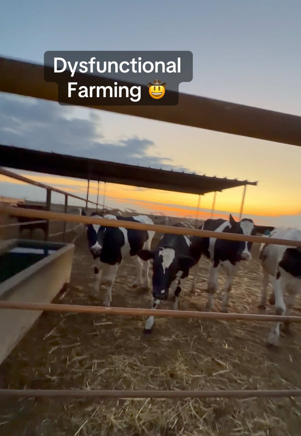 @Skylar Farming