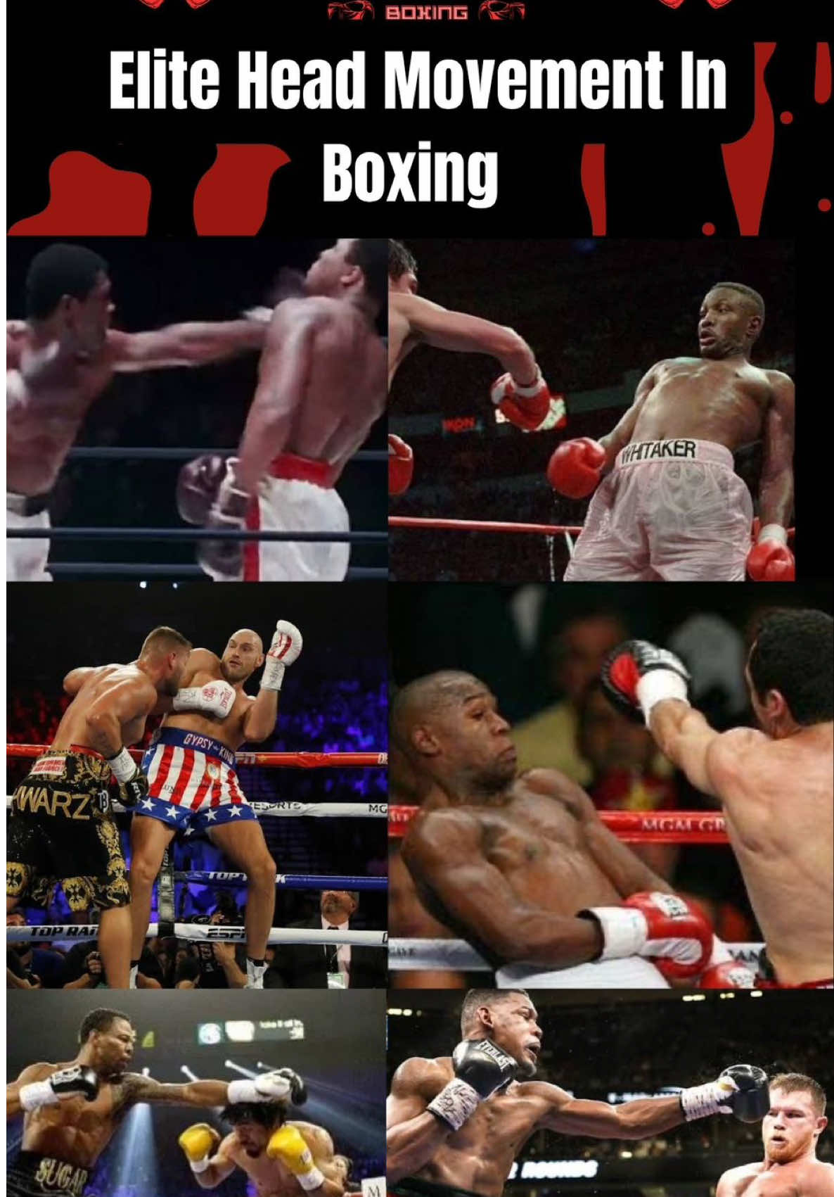 @Die On Your Feet Boxing Facts