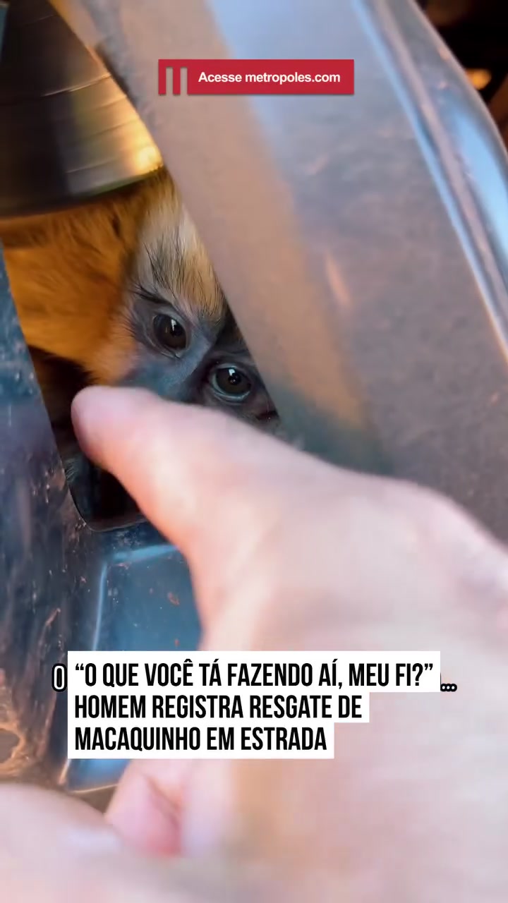 @Metr&oacute;poles Oficial