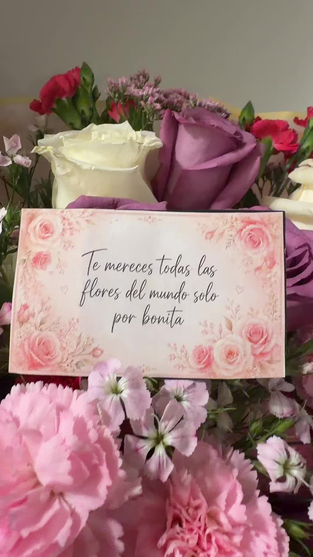 @Maria Frontado