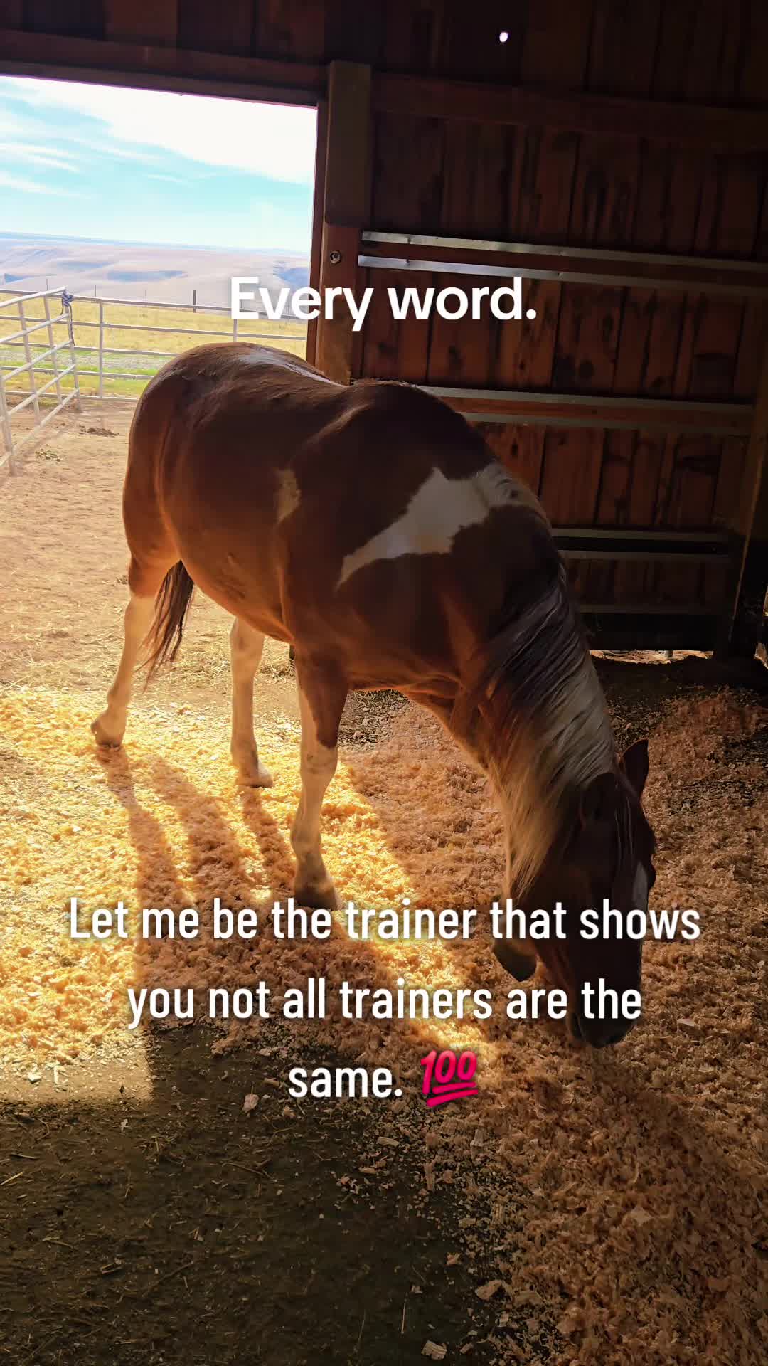 @Cowgirl Tuff Colt Training ❤️