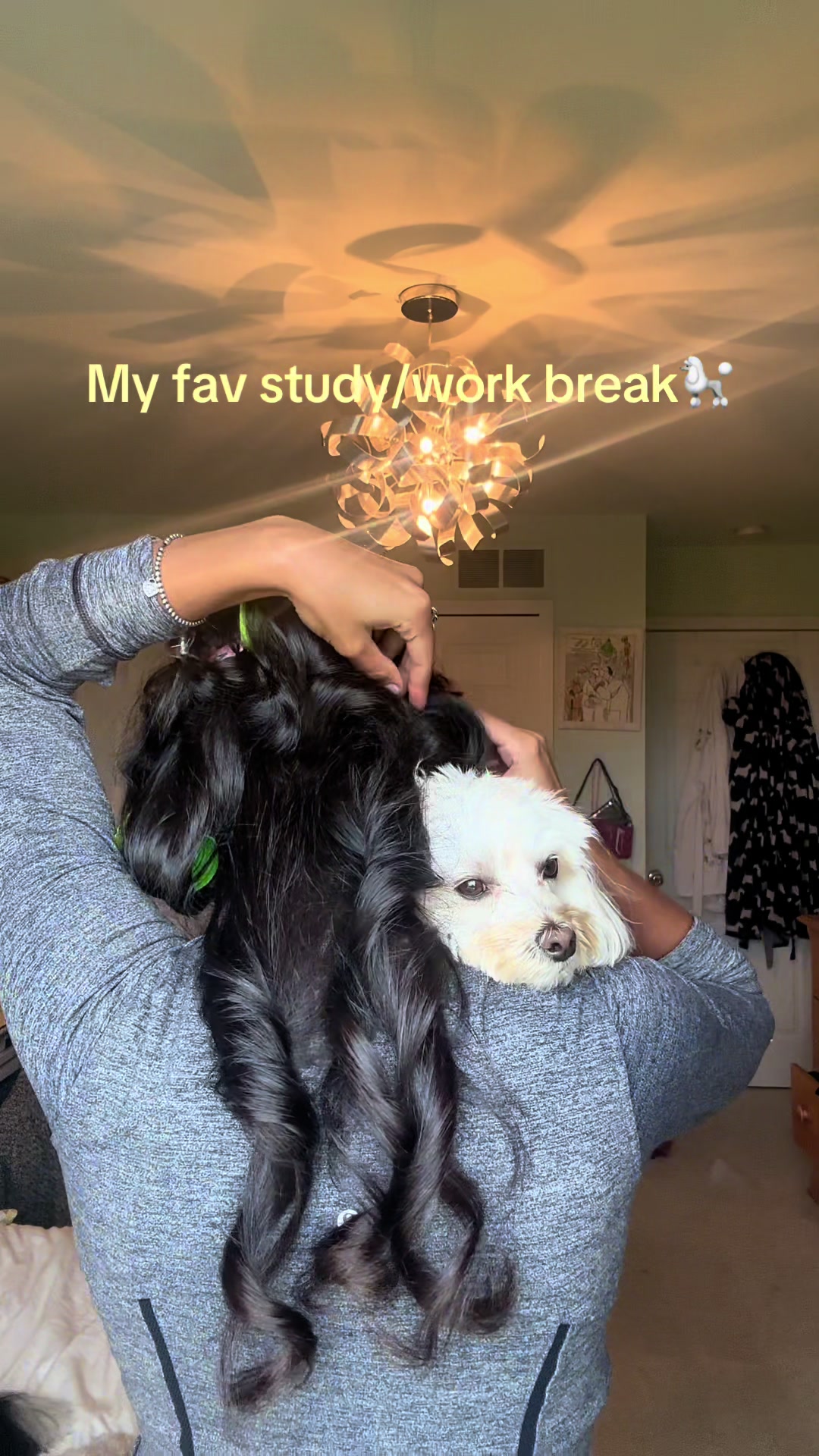 @espressobean