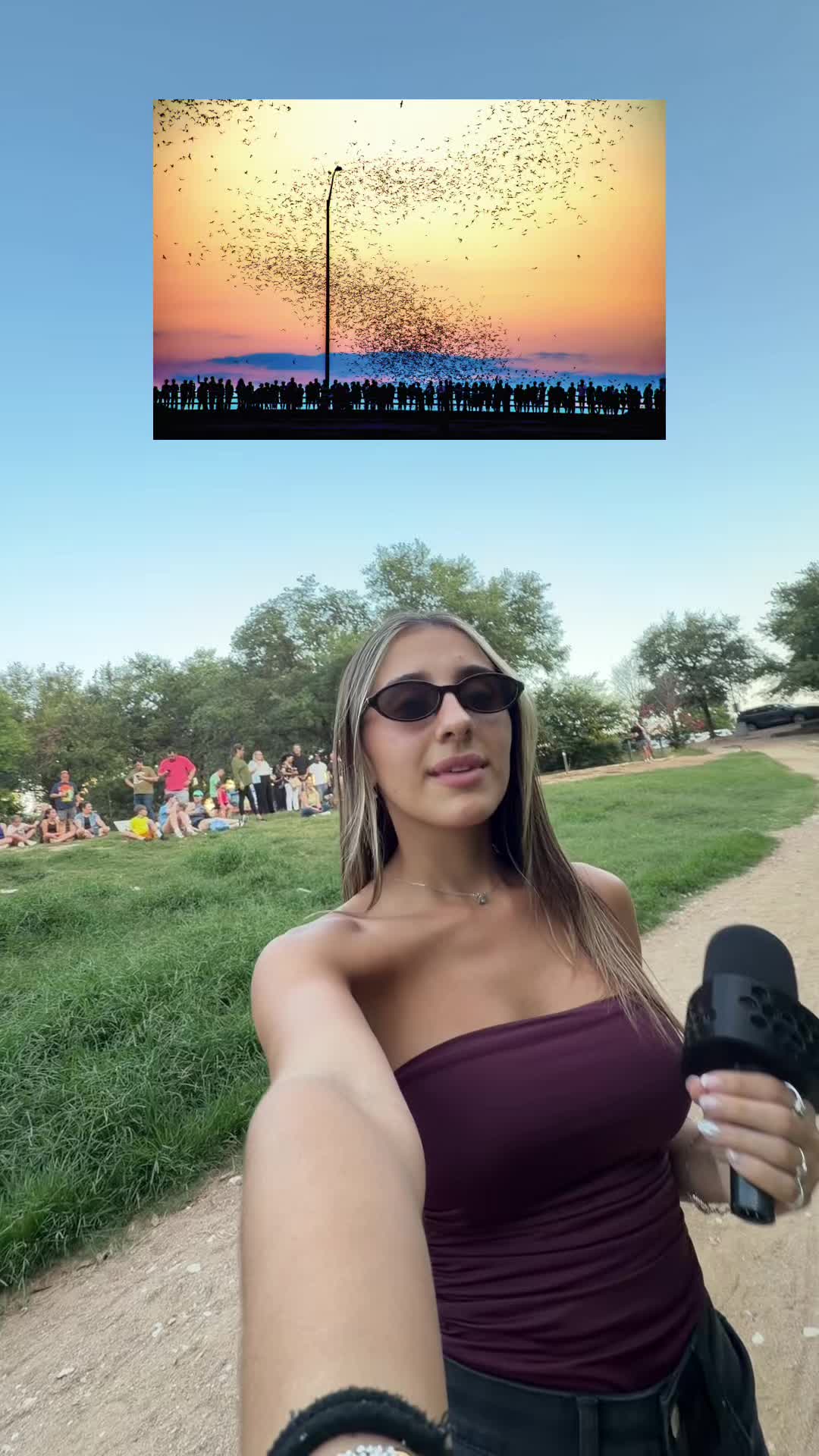 @Pia Bottero