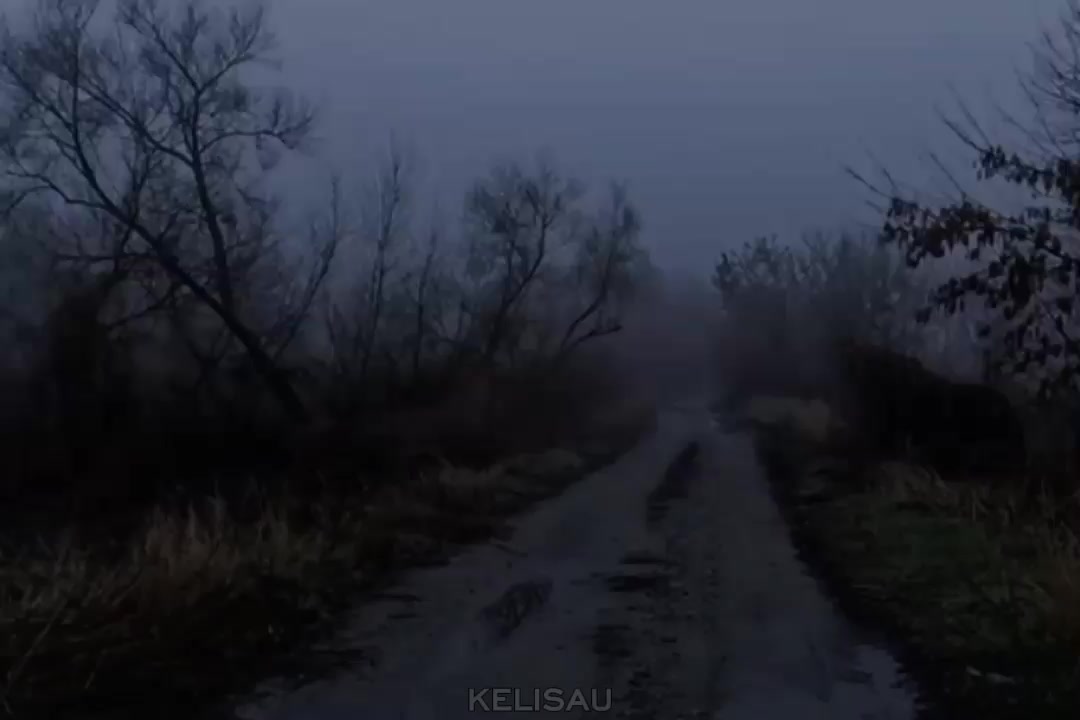 @KELISAU