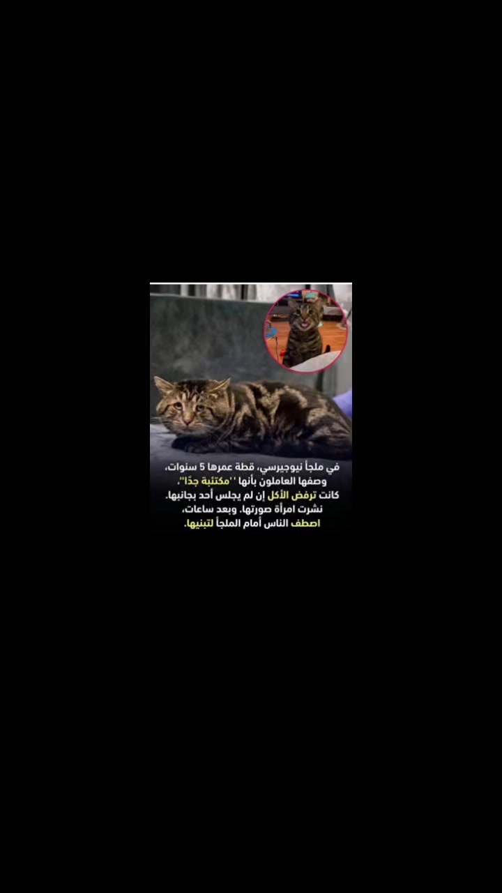 @Doaa