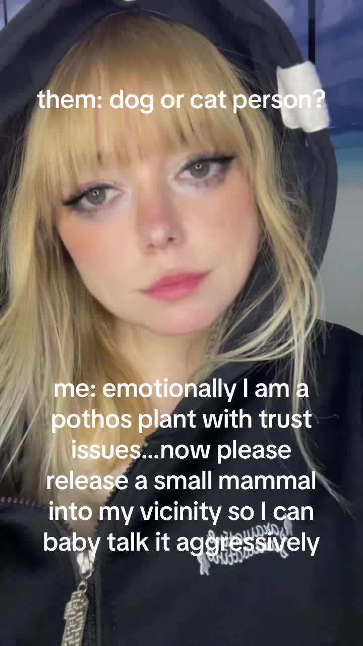 @TisForTigerLily