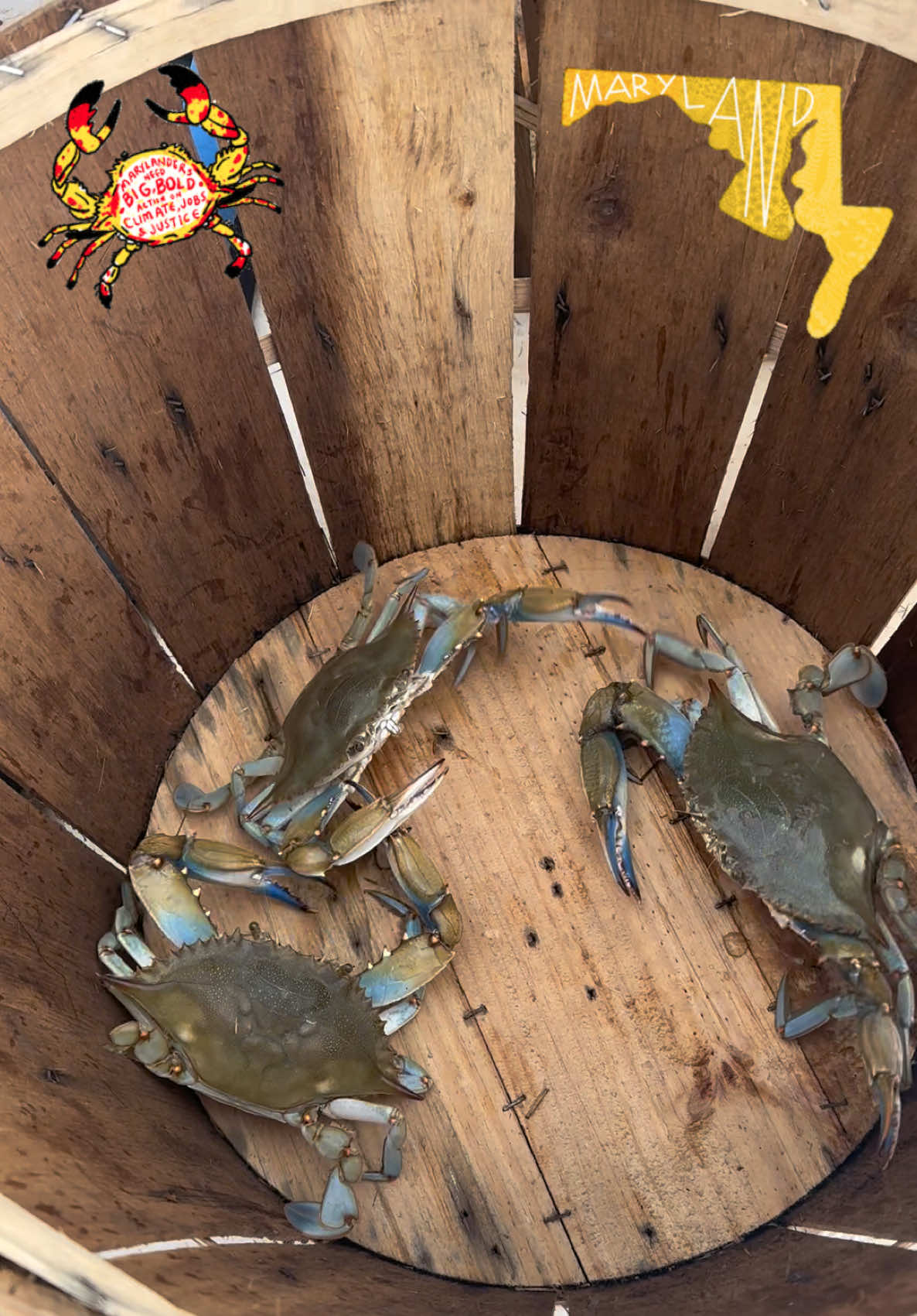 @๐๐๐ฑ๐ป๐ฒ๐ผ๐ผ๐๐