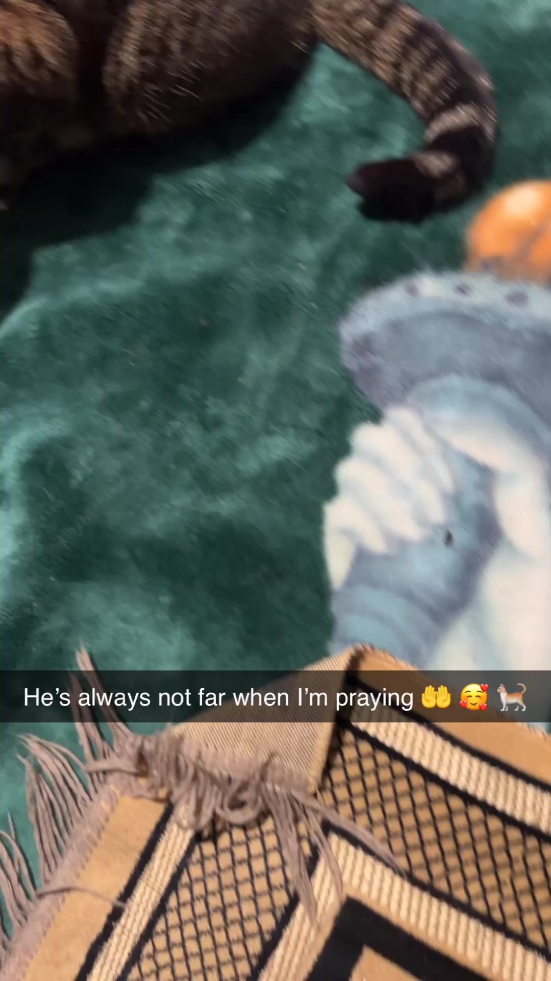 @Tiggy